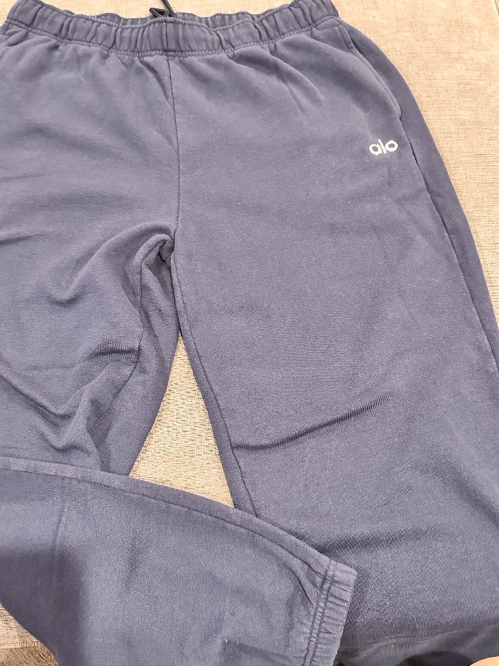 ALO sweat pants